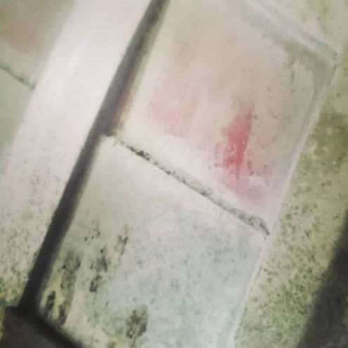 1714899350218.webp