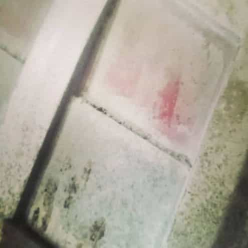 1714899350218.webp